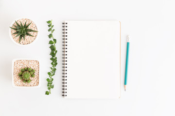 Wall Mural - top view white notebook with cactus on white background, flat lay photo and copy space for design