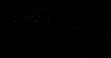 Wall Mural - Flying dust particles on a black background