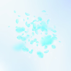 Wall Mural - Turquoise flower petals falling down. Perfect romantic flowers explosion. Flying petal on blue sky s