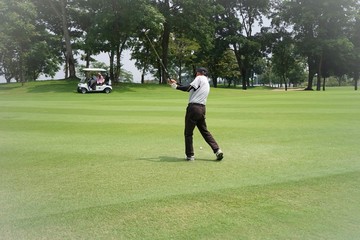 Wall Mural - Golf is a sport that requires hard work.