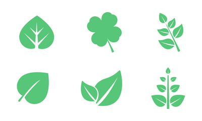 Poster - Green leaves set, various shapes of leaves of trees and plants vector Illustration on a white background