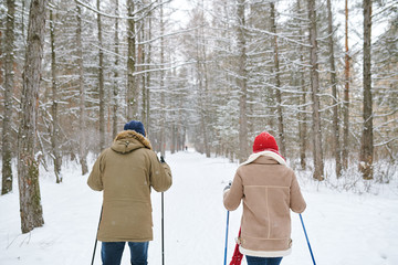 Wall Mural - Back view portrait of active young couple enjoying skiing in beautiful winter forest, copy space