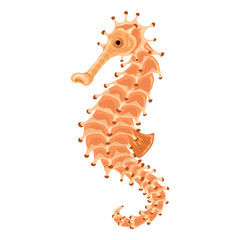 Sticker - Sea horse icon. Cartoon of sea horse vector icon for web design isolated on white background