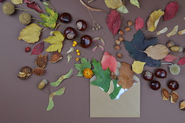 open envelope with autumnal greetings like colorful leaves, seeds, chestnuts, nuts and other fall fruits on brown background