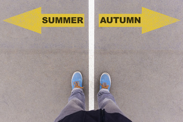 Wall Mural - Summer and Autumn direction choices with arrows on street