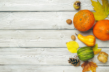 Poster - Pumpkin on old rustic wooden table.