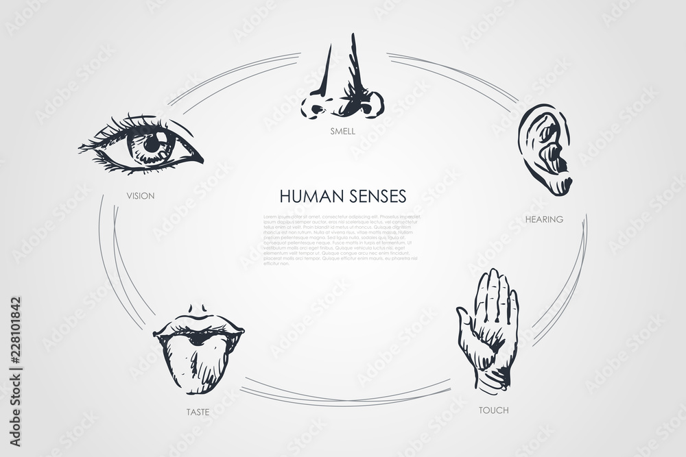 Human senses - vision, taste, touch, hearing, smell vector concept set - obrazy, fototapety, plakaty 