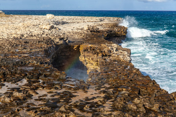 Wall Mural - sea and rocks