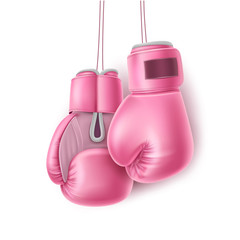 Wall Mural - Vector pink pair of boxing glove on lace realistic