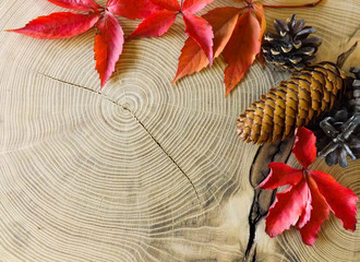 Autumn leaves on wooden table