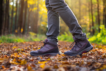 Wall Mural - woman is wearing hiking boot and walking in forest at autumn.