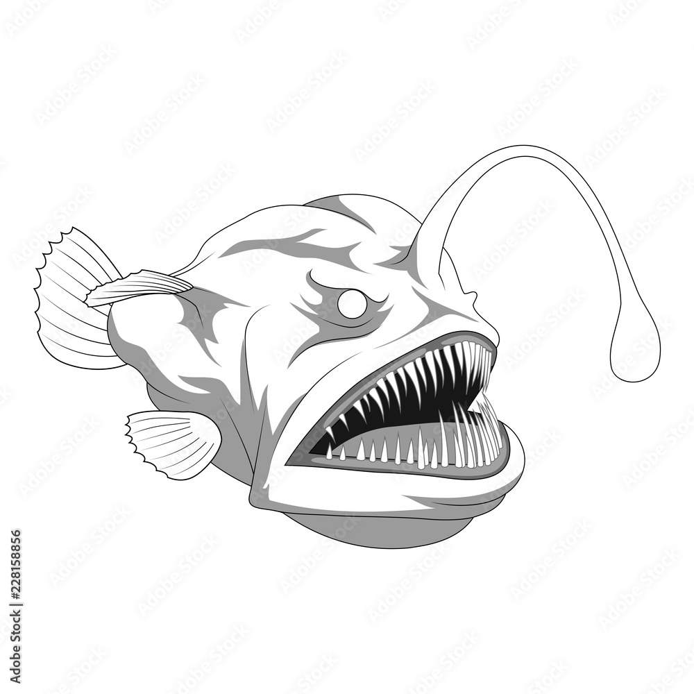 Scared Fish Line Drawing Scary anglerfish line art. vector illustration Stock Vector | Adobe Stock