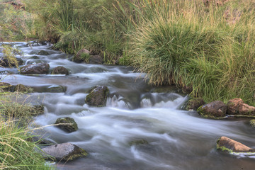 Canvas Print - Jemez River