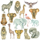 Fototapeta Pokój dzieciecy - African animals collection