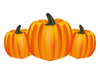 Poster - harvest pumpkins fresh on white background