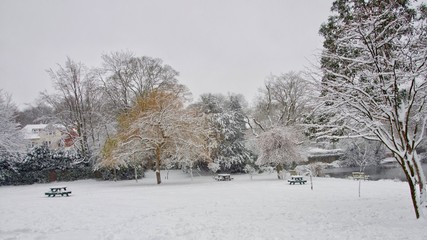 Wall Mural - Park in snow 