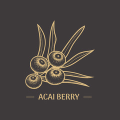 Wall Mural - Illustration of Acai berry for the design labels and packaging organic foods