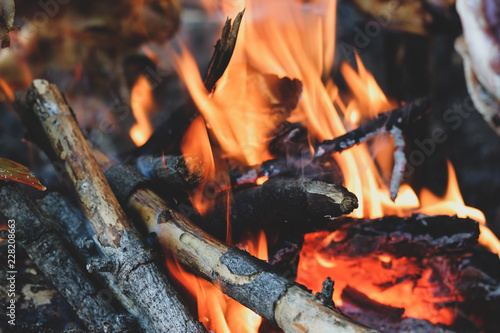 Closeup Of Bright Fireplace With Logs And Branches Warm Fire With