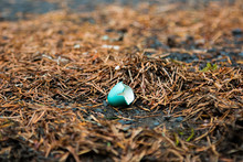 Broken Blue Egg Free Stock Photo - Public Domain Pictures