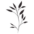 © Grgroup - beautiful leaf plant icon