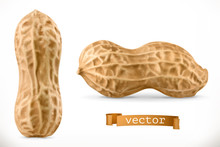 Peanut. 3d Vector Realistic Icon
