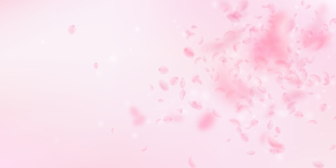 Wall Mural - Sakura petals falling down. Romantic pink flowers 