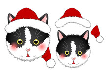 Black White Cat Santa Claus.