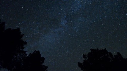 Wall Mural - milky way, night sky, stars and trees, time lapse.