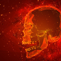 Wall Mural - human skull. vector concept. triangulator, 3d volumetric.