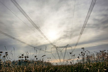 Autumn Landscape With Tall Metal Towers Of High Voltage Electrical Line Against The Cloudy Sky And With Dry Grass On Foreground