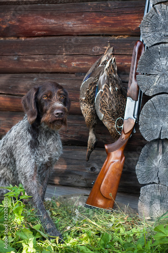 dog and hunting trophy near the hunting lodge Poster Mural XXL