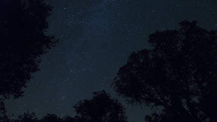 Wall Mural - milky way, night sky, stars and trees, time lapse.