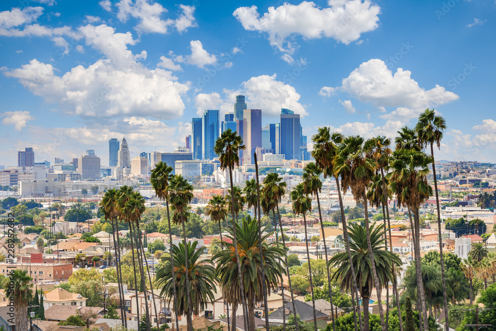 Beautiful cloudy day of Los Angeles downtown skyline and palm trees in foreground - obrazy, fototapety, plakaty 