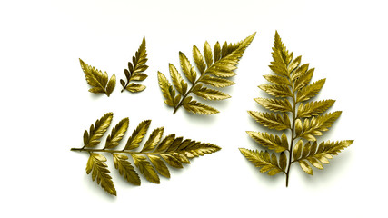 Wall Mural - golden fern leaves isolated on white background.