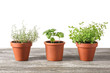 © Pixel-Shot - Pots with fresh aromatic herbs on wooden table against white background