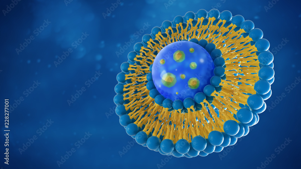 Liposome structure cell 3D rendering - obrazy, fototapety, plakaty 