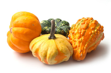 closeup of colorful gourds for halloween decoration on white background