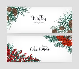 Set of horizontal holiday banners or backdrops with pine tree branches, cones, holly berries and place for text on white background. Elegant hand drawn vector illustration in vintage realistic style.