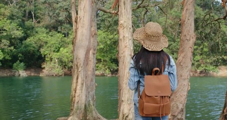 Wall Mural - woman sit on the tree root and enjoy the view of the lake