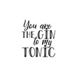 You are the gin to my tonic. Lettering. calligraphy vector illustration.