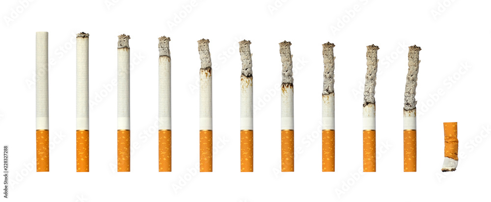 Cigarettes burning and extinguished cigarette butt on white isolated background. - obrazy, fototapety, plakaty 