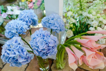 Wall Mural - Light blue hydrangeas and peach calla