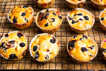 Wall Mural - Muffins with berry fruit on a table