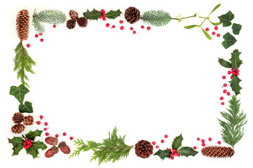 Winter and Christmas natural flora background border with holly and loose berries, leaf sprigs, acorns, mistletoe, pine cones, snow covered spruce fir on white.