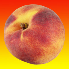 Wall Mural - SINGLE PEACH