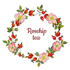 Wall Mural - Rosehip frame for the tea label or card, vector graphic illustration