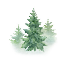 christmas tree isolated on white background.watercolor illustration.