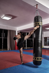 Wall Mural - Muay thai fighter working with heavy bag