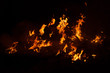 © donikz - Flame of fire on a black background