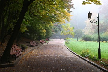 Wall Mural - beautiful park in the fog